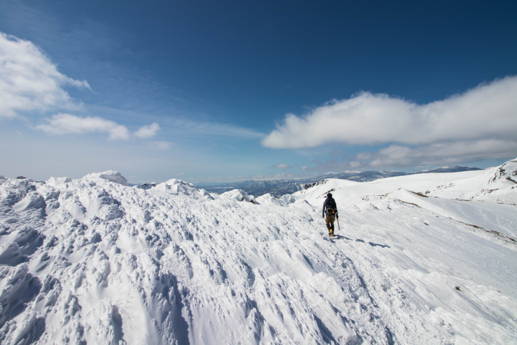 f:id:S-D-K10:20170313214402j:plain f:id:S-D-K10:20170313214402j:plain