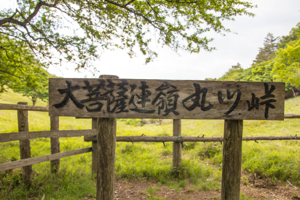 f:id:S-D-K10:20170611001538j:plain