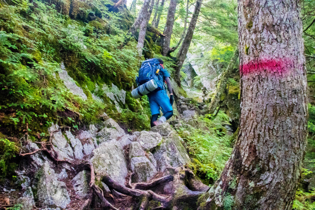 f:id:S-D-K10:20170710215733j:plain f:id:S-D-K10:20170710215733j:plain