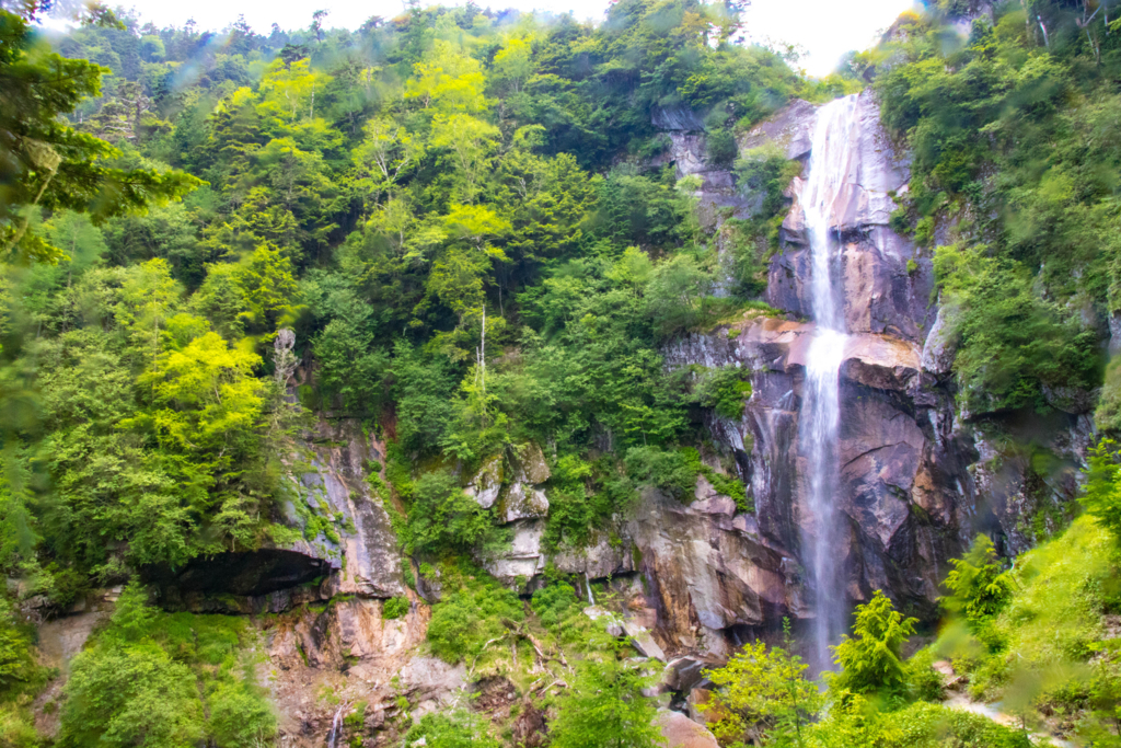 f:id:S-D-K10:20170710220150j:plain f:id:S-D-K10:20170710220150j:plain