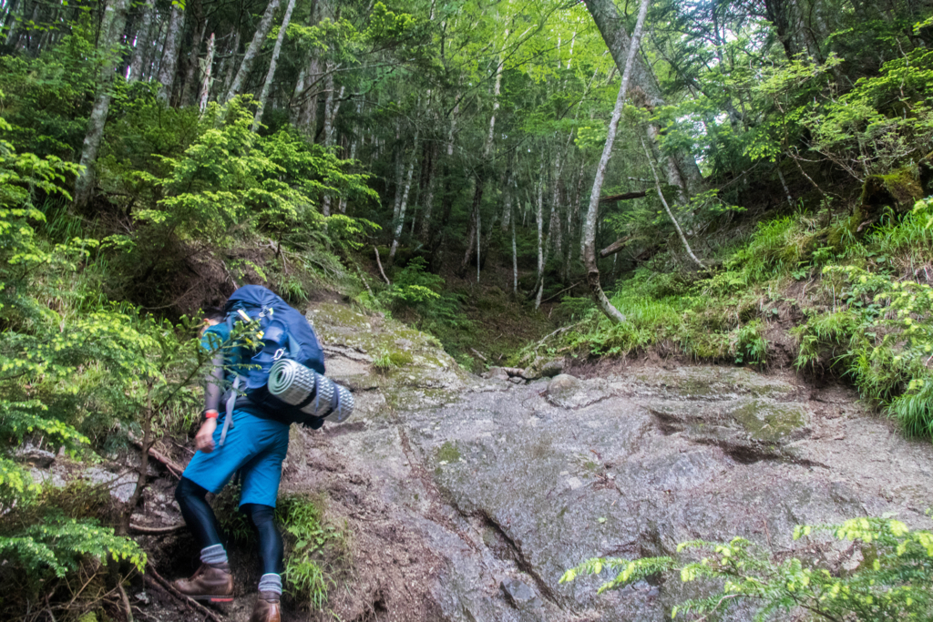 f:id:S-D-K10:20170710220201j:plain f:id:S-D-K10:20170710220201j:plain