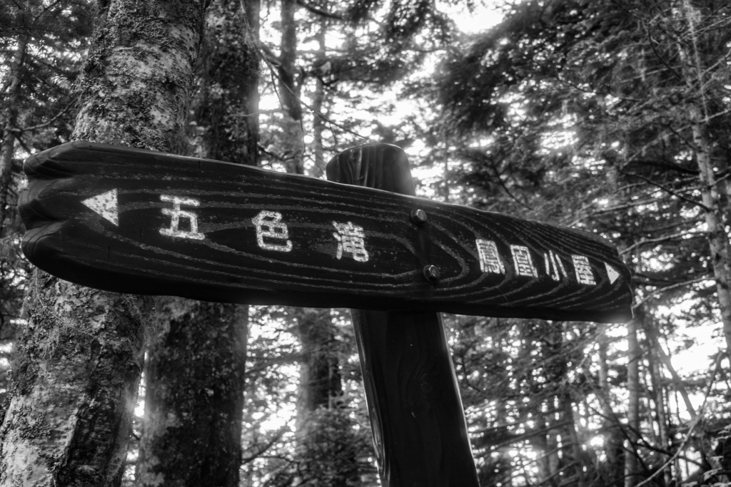 f:id:S-D-K10:20170710220901j:plain f:id:S-D-K10:20170710220901j:plain