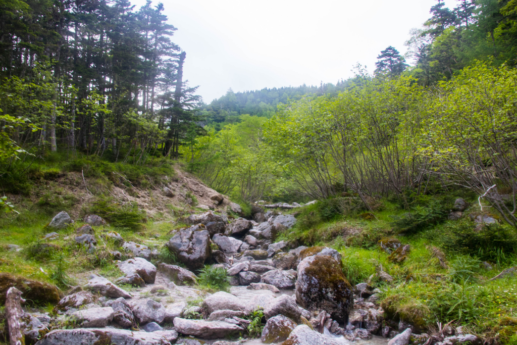 f:id:S-D-K10:20170710220906j:plain f:id:S-D-K10:20170710220906j:plain