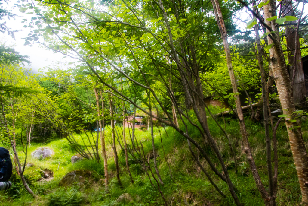 f:id:S-D-K10:20170710221153j:plain f:id:S-D-K10:20170710221153j:plain