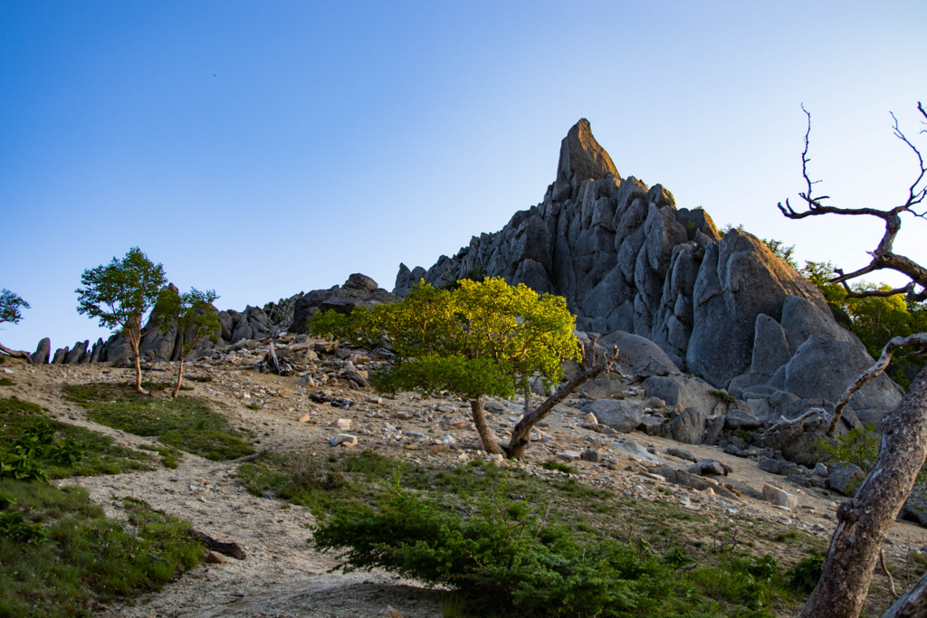 f:id:S-D-K10:20170710222337j:plain f:id:S-D-K10:20170710222337j:plain