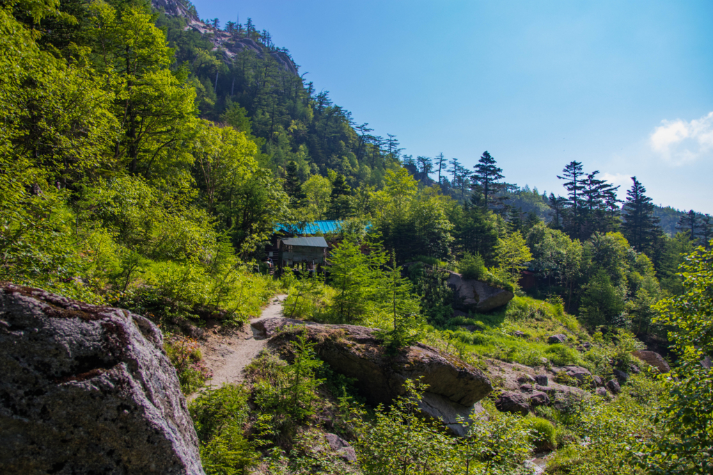 f:id:S-D-K10:20170710223912j:plain f:id:S-D-K10:20170710223912j:plain