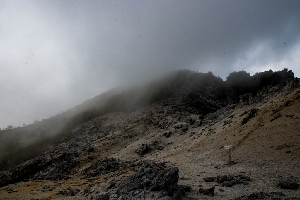 f:id:S-D-K10:20170710223954j:plain f:id:S-D-K10:20170710223954j:plain