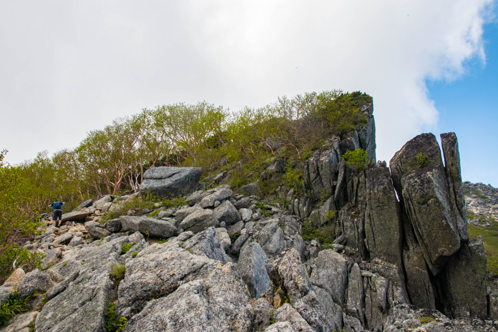 f:id:S-D-K10:20170710224915j:plain f:id:S-D-K10:20170710224915j:plain