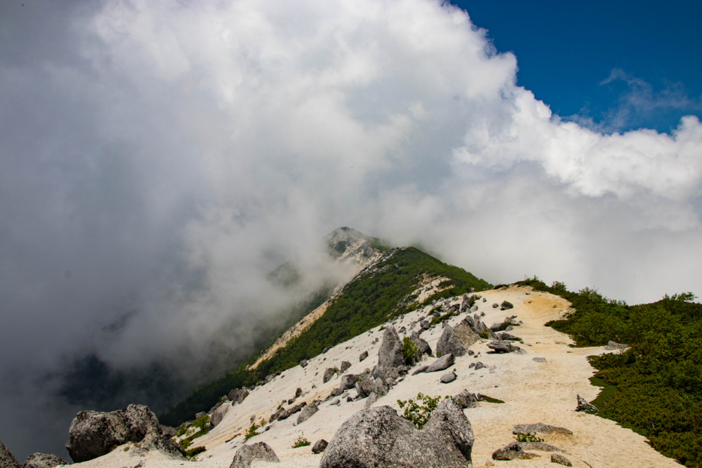 f:id:S-D-K10:20170710230617j:plain f:id:S-D-K10:20170710230617j:plain