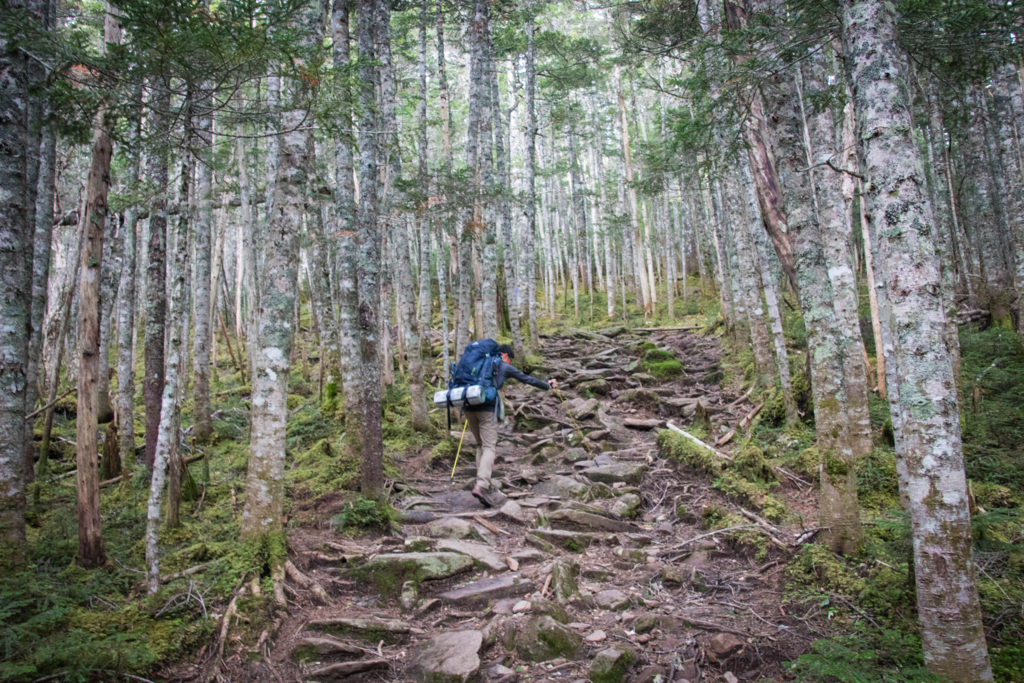 f:id:S-D-K10:20170710235012j:plain f:id:S-D-K10:20170710235012j:plain