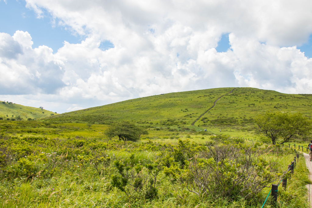 f:id:S-D-K10:20170823202727j:plain f:id:S-D-K10:20170823202727j:plain