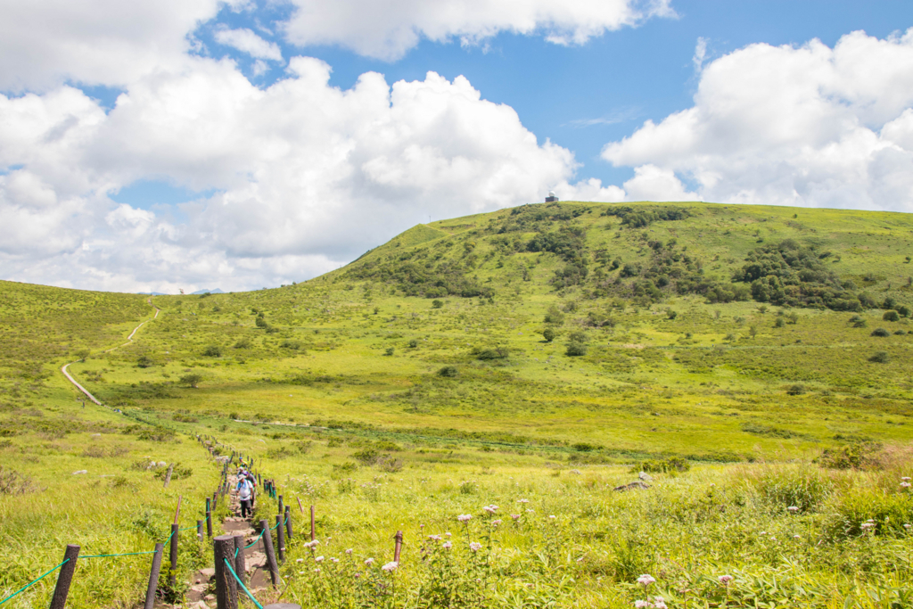 f:id:S-D-K10:20170823202733j:plain f:id:S-D-K10:20170823202733j:plain