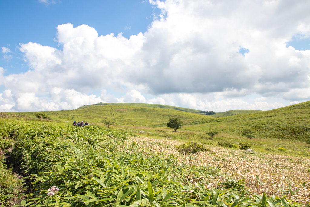 f:id:S-D-K10:20170823203107j:plain f:id:S-D-K10:20170823203107j:plain