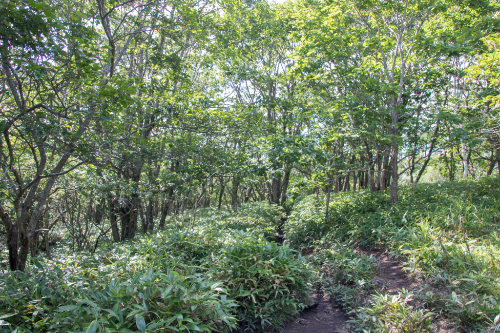 f:id:S-D-K10:20170823203942j:plain f:id:S-D-K10:20170823203942j:plain