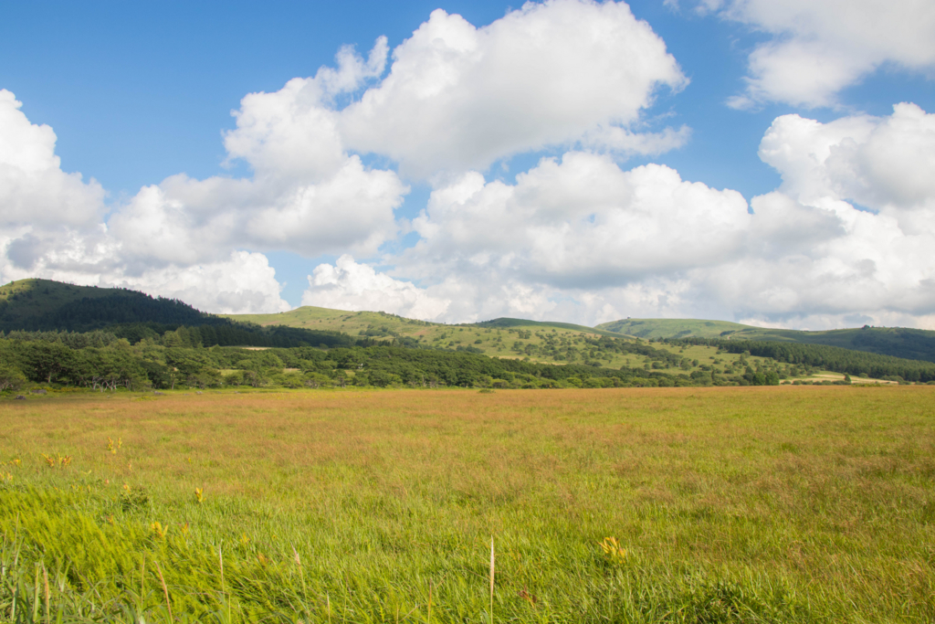 f:id:S-D-K10:20170823204400j:plain f:id:S-D-K10:20170823204400j:plain