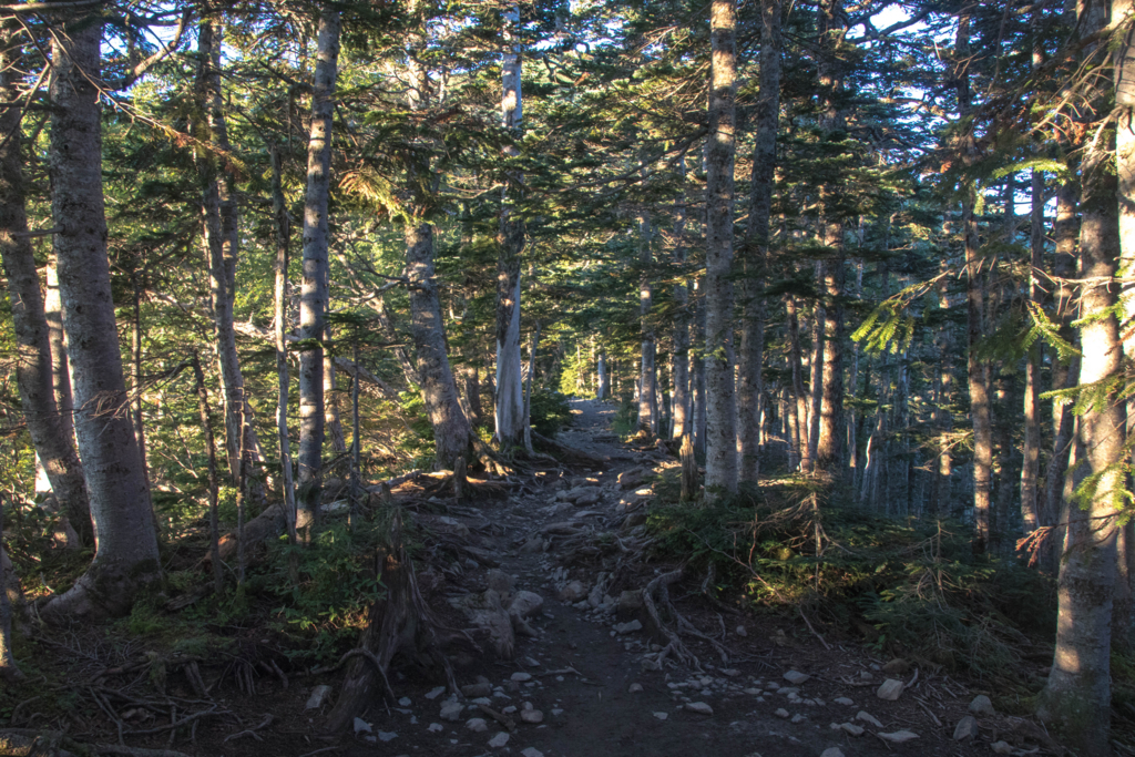 f:id:S-D-K10:20170907211942j:plain f:id:S-D-K10:20170907211942j:plain