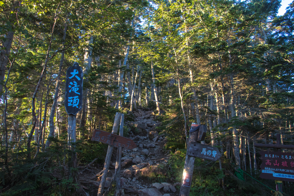 f:id:S-D-K10:20170907211948j:plain f:id:S-D-K10:20170907211948j:plain