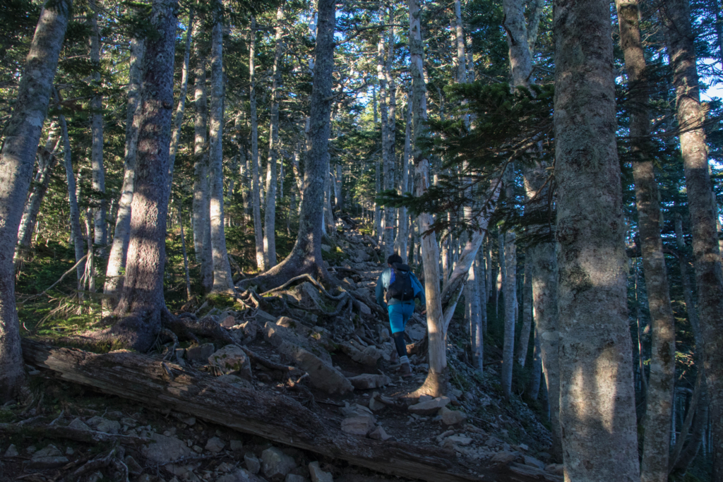 f:id:S-D-K10:20170907211953j:plain f:id:S-D-K10:20170907211953j:plain