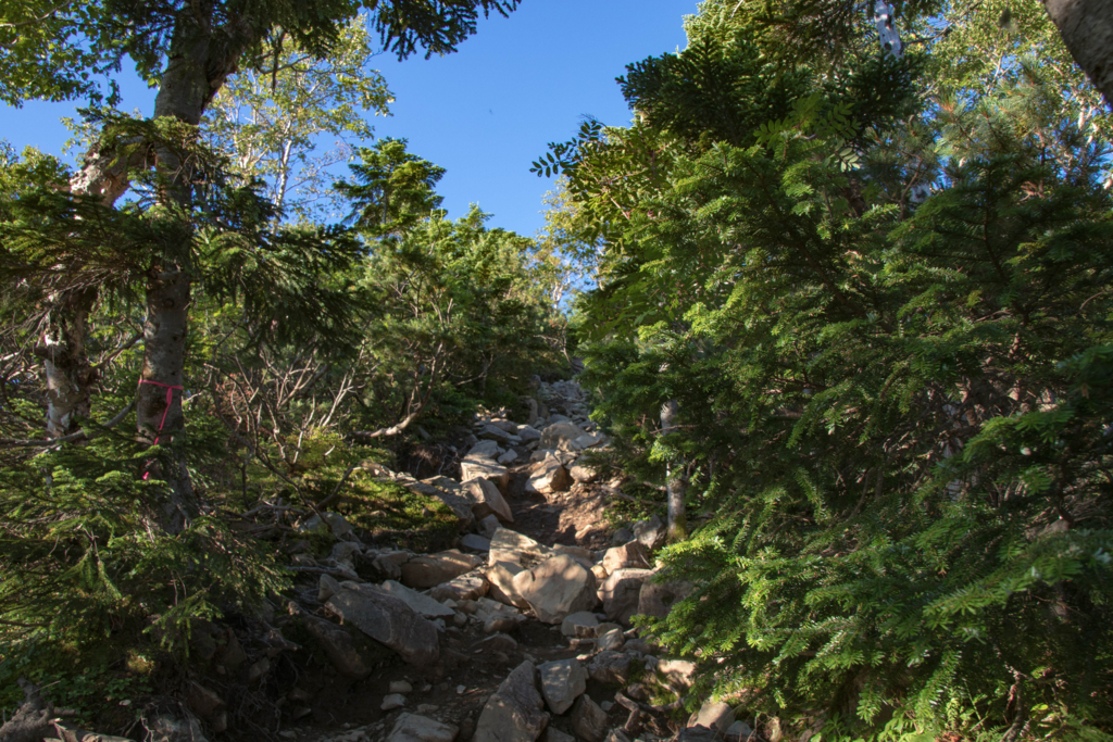 f:id:S-D-K10:20170907211959j:plain f:id:S-D-K10:20170907211959j:plain