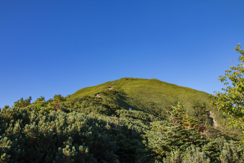 f:id:S-D-K10:20170907213427j:plain f:id:S-D-K10:20170907213427j:plain