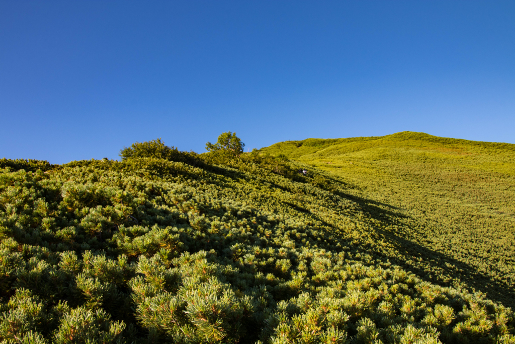 f:id:S-D-K10:20170907213650j:plain f:id:S-D-K10:20170907213650j:plain