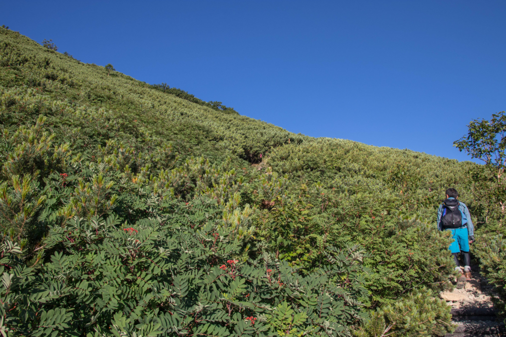 f:id:S-D-K10:20170907213701j:plain f:id:S-D-K10:20170907213701j:plain