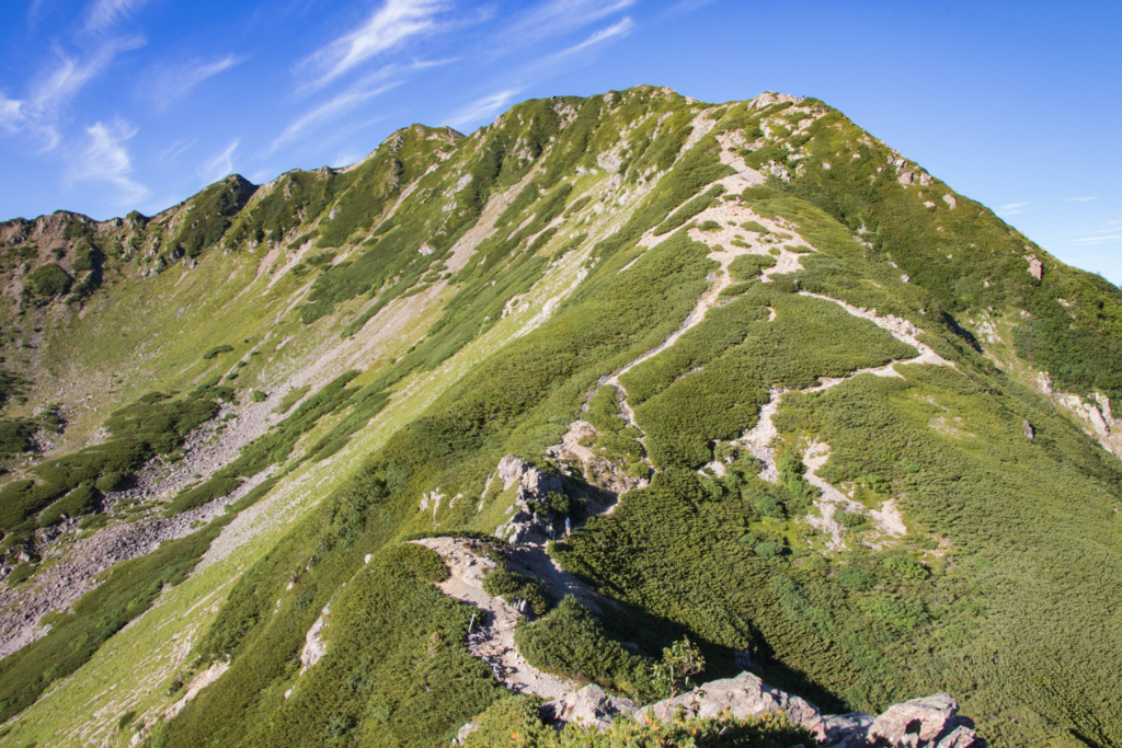 f:id:S-D-K10:20170907215458j:plain f:id:S-D-K10:20170907215458j:plain