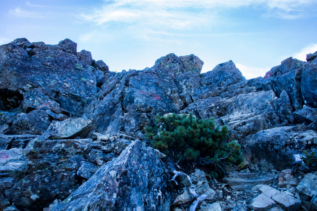 f:id:S-D-K10:20170907215503j:plain f:id:S-D-K10:20170907215503j:plain