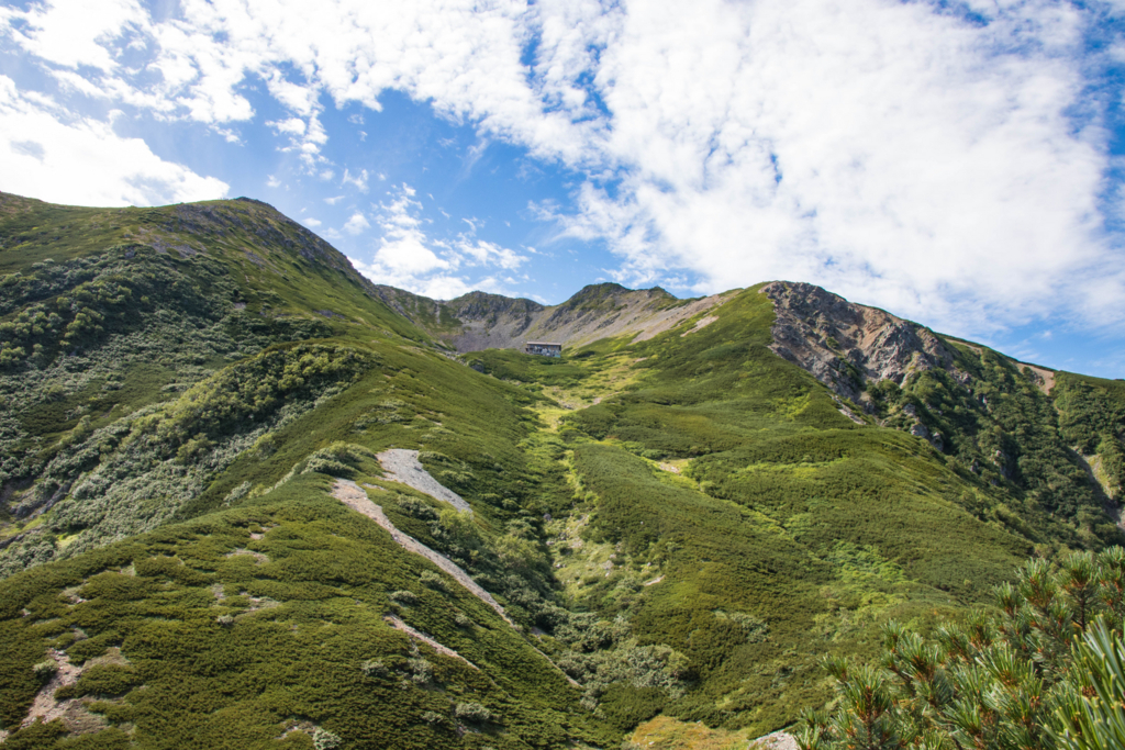 f:id:S-D-K10:20170907223047j:plain f:id:S-D-K10:20170907223047j:plain