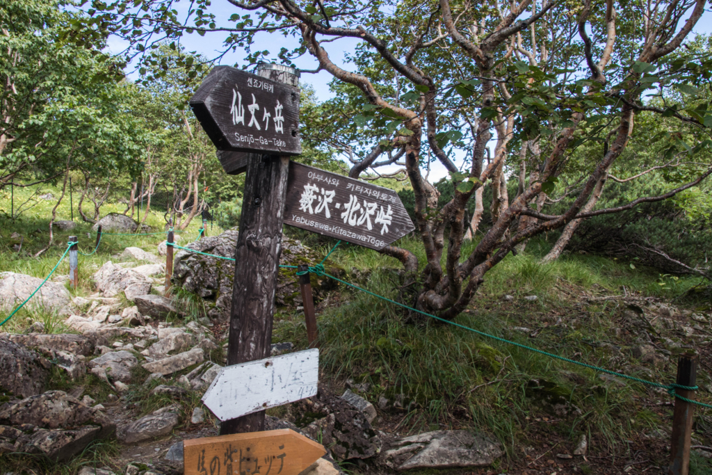 f:id:S-D-K10:20170907223058j:plain f:id:S-D-K10:20170907223058j:plain