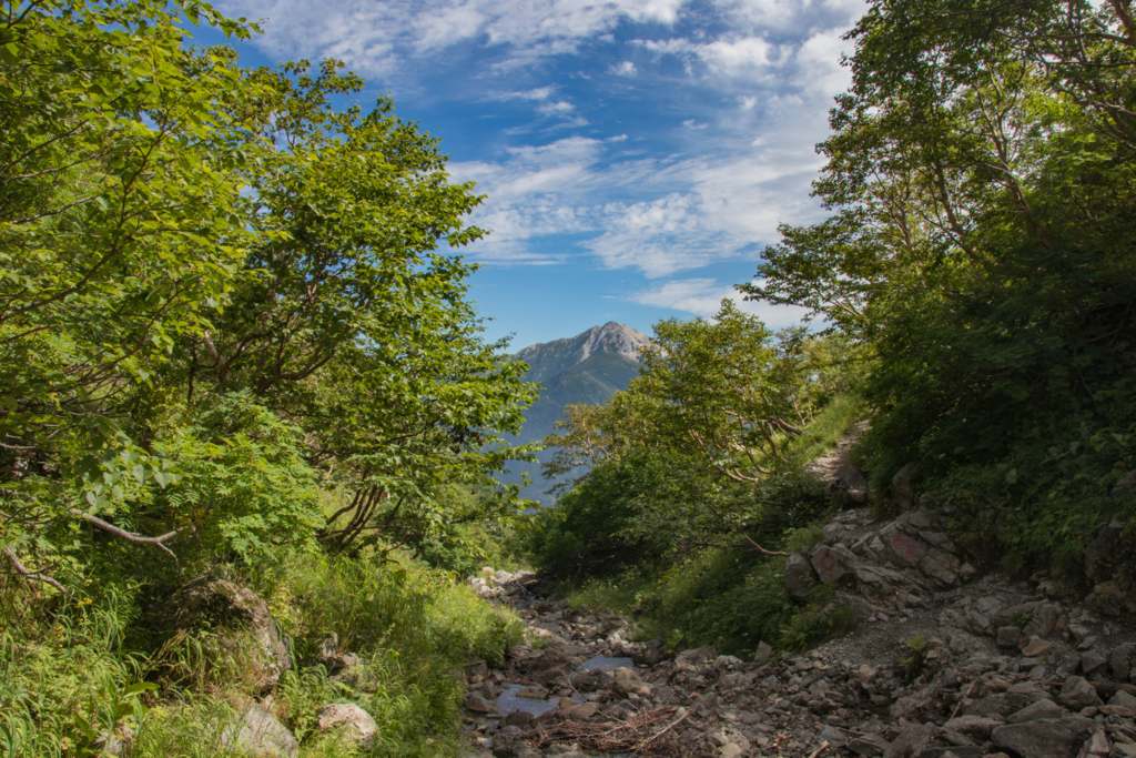 f:id:S-D-K10:20170907223546j:plain f:id:S-D-K10:20170907223546j:plain