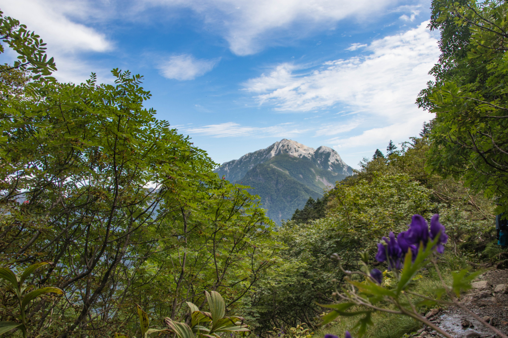 f:id:S-D-K10:20170907223559j:plain f:id:S-D-K10:20170907223559j:plain