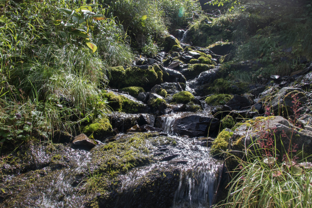 f:id:S-D-K10:20170907223608j:plain f:id:S-D-K10:20170907223608j:plain