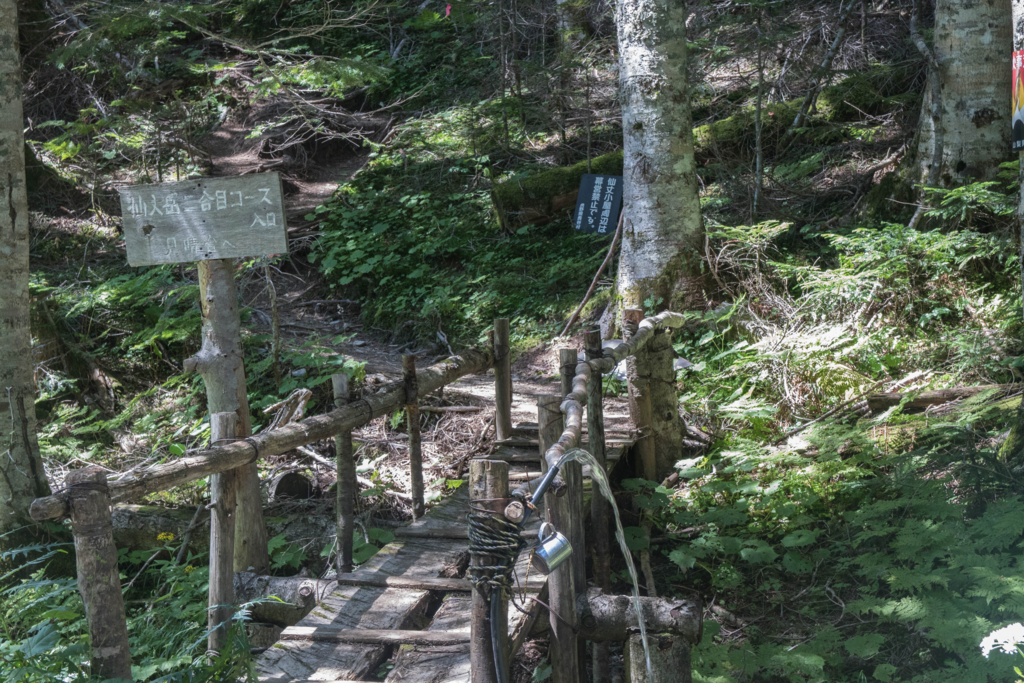 f:id:S-D-K10:20170907230419j:plain f:id:S-D-K10:20170907230419j:plain