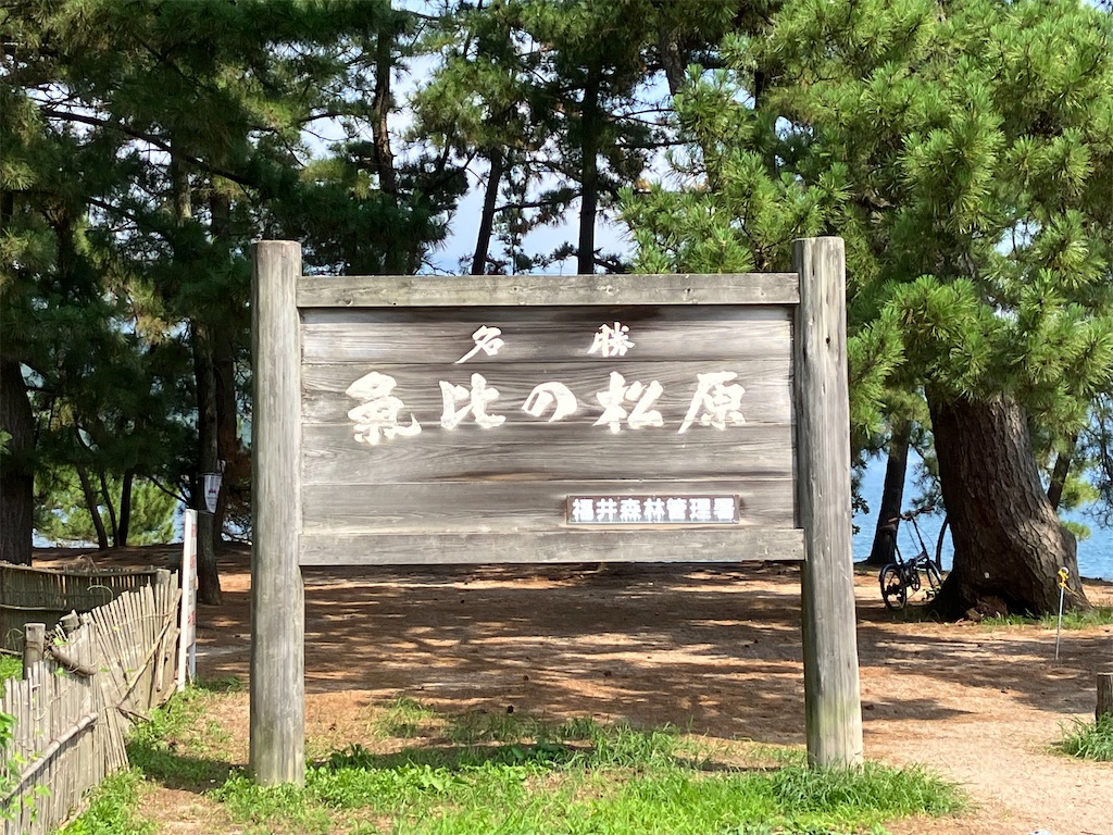 f:id:S-laboratory:20220728182202j:image