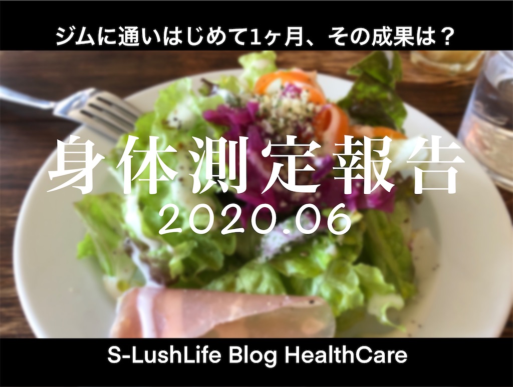 f:id:S-lushlife:20200705181122j:image