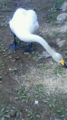 20100410154300