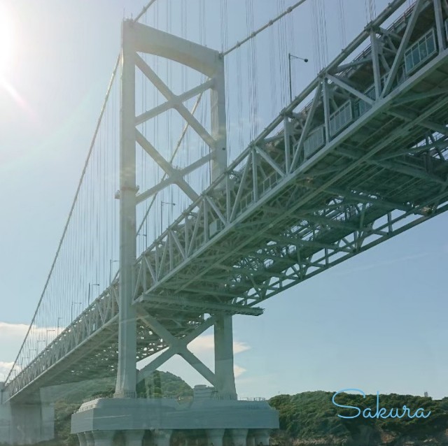 f:id:SA-KU-RA:20210201151013j:image