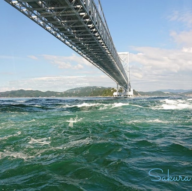 f:id:SA-KU-RA:20210201151044j:image