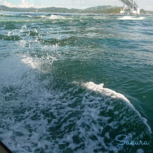 f:id:SA-KU-RA:20210203134042j:image