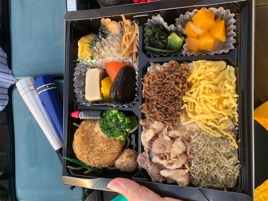 f:id:SABOTENkun:20190907204134j:image f:id:SABOTENkun:20190907204134j:image