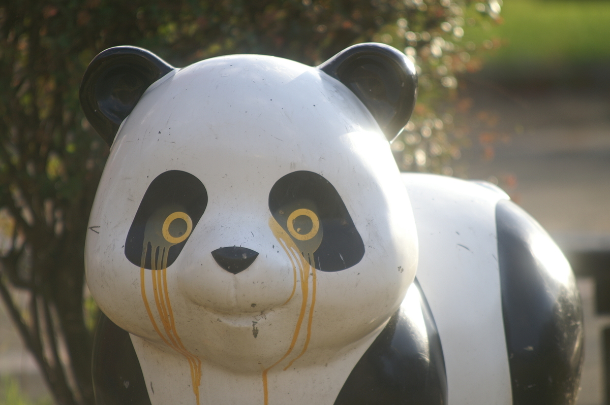 レンズ(ズーム) PENTAX-K Tokina AT-X SD 100-300mm F4 Tokina AT-X 100-300mm F4