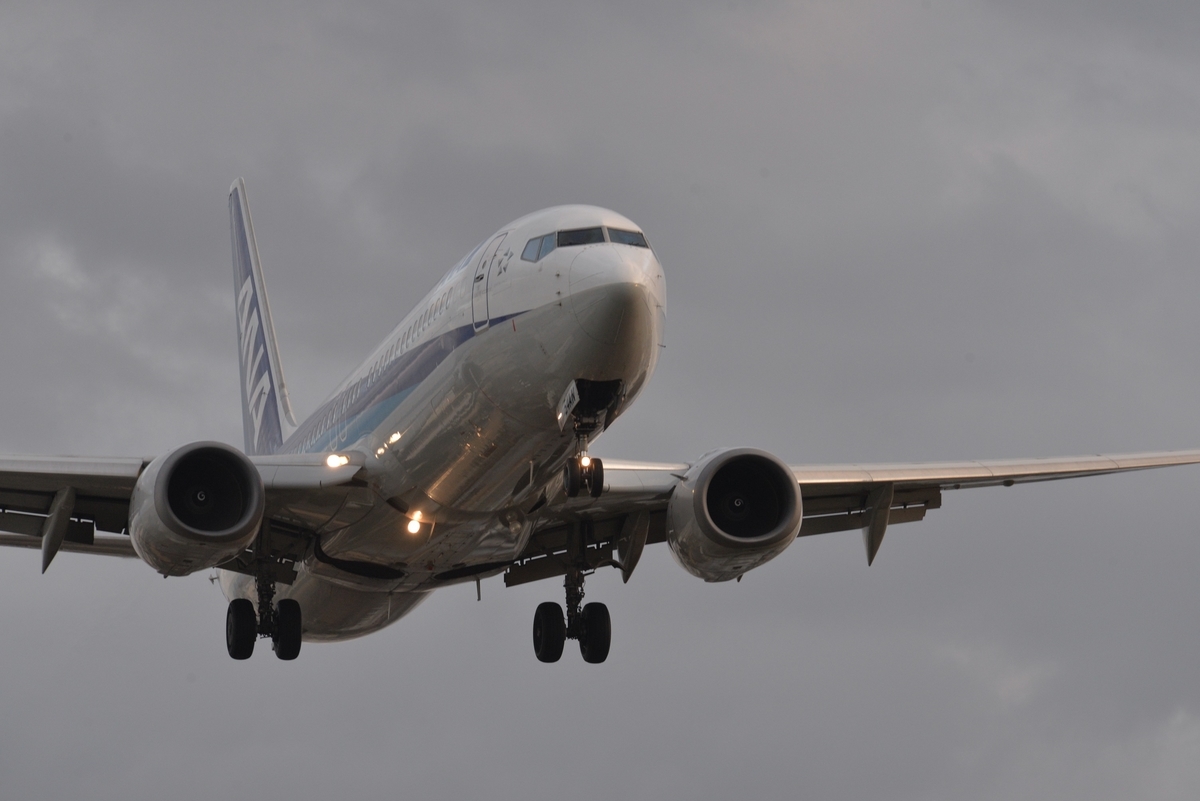 AI AF VR Zoom-Nikkor 80-400mm f/4.5-5.6D ED - SADAの心躍るブログ