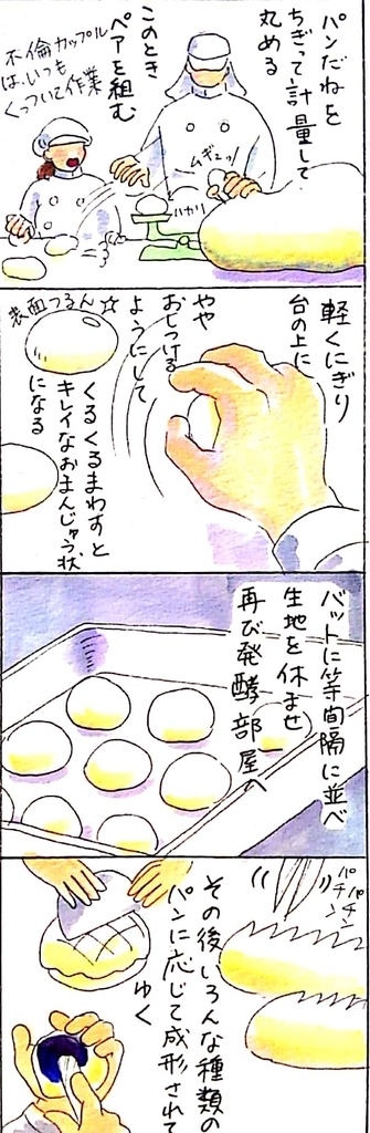 f:id:SAIKAANIN:20190127011304j:plain