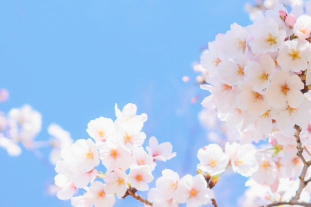 f:id:SAIKO_CENTER:20210516133442j:plain