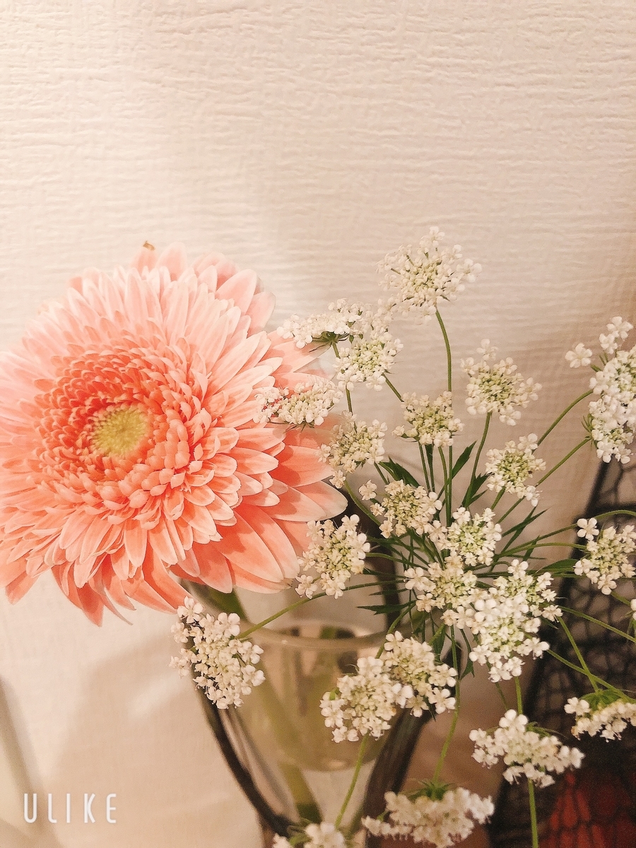 f:id:SAJI:20210518005703j:plain