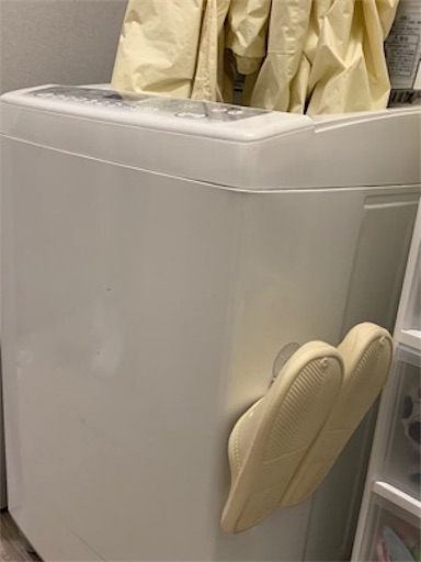 f:id:SAKAMOTOeleven:20190703215328j:image f:id:SAKAMOTOeleven:20190703215328j:image
