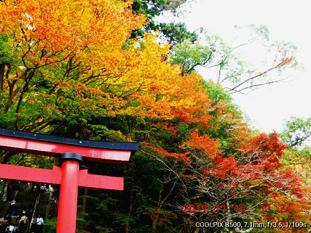 f:id:SAKI001:20171115182901j:image