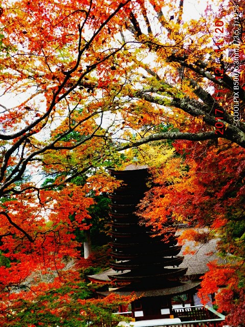 f:id:SAKI001:20171115182917j:image