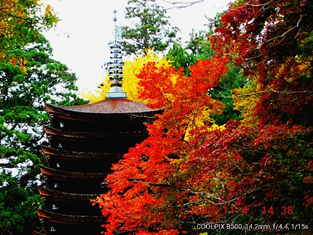 f:id:SAKI001:20171115183002j:image